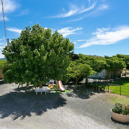 Agriturismo Case Nuove Castellina Marittima Zewnętrze zdjęcie