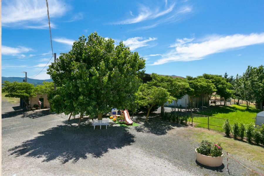 Agriturismo Case Nuove Castellina Marittima Zewnętrze zdjęcie